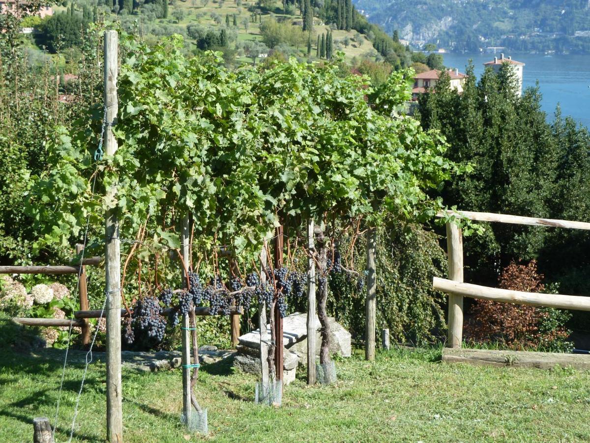 Bellagio Il Crotto Villa Luaran gambar