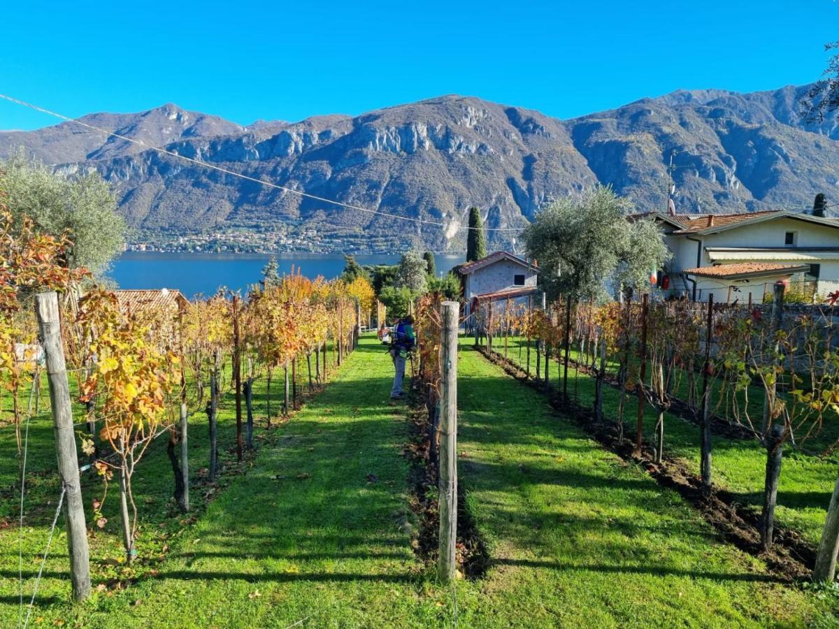 Bellagio Il Crotto Villa Luaran gambar