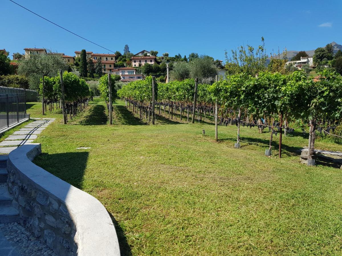Bellagio Il Crotto Villa Luaran gambar