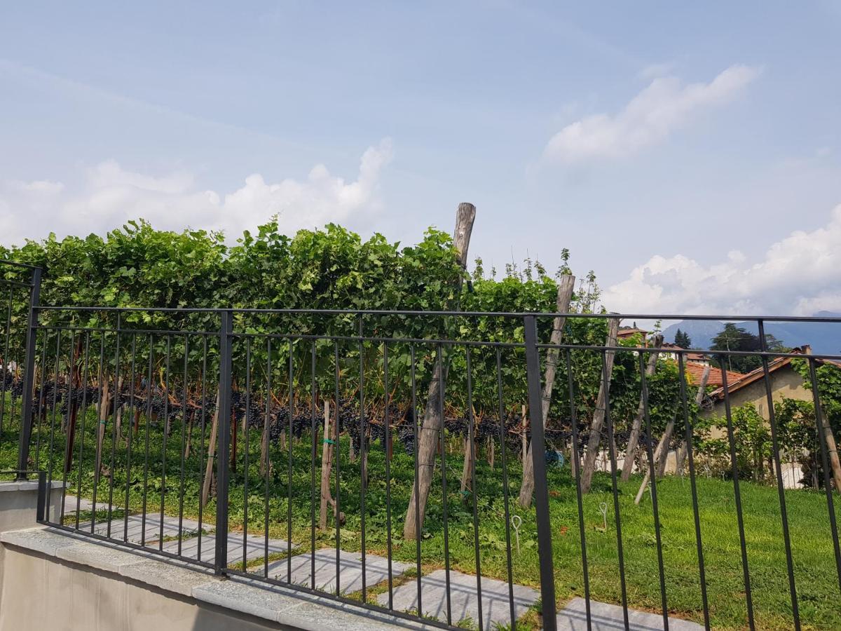 Bellagio Il Crotto Villa Luaran gambar